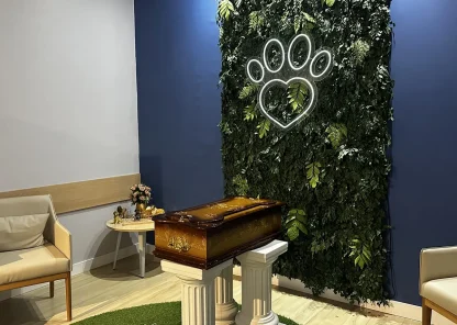 img-section-memorial-pet-7